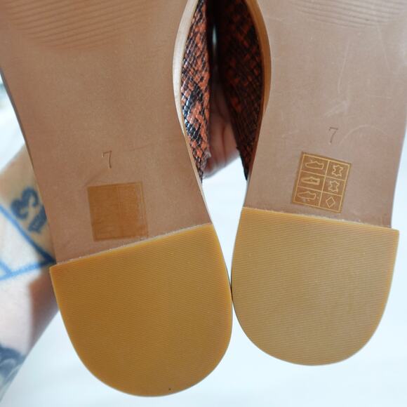 Madewell The Emilia Mule Snake Embossed Size 7 Rust Red Brown Pointed Toe MA416 - Picture 2 of 14